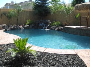 Tropical Swimming Pool