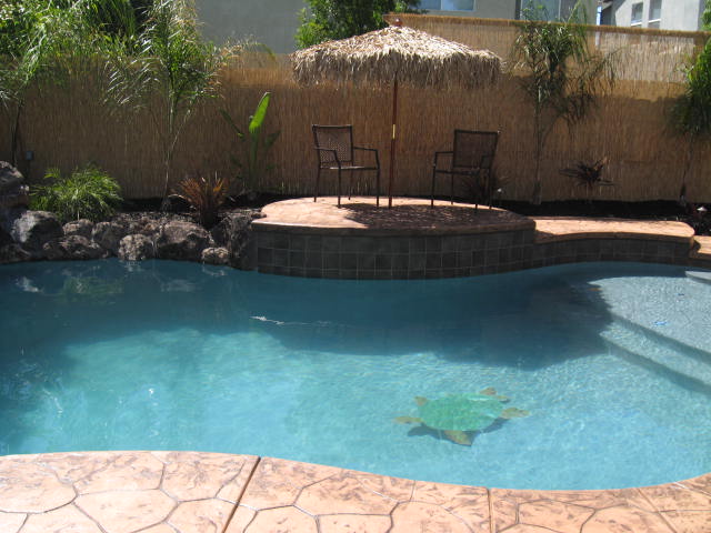 Free form pool in Elk Grove, C